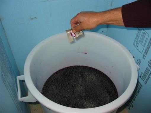 The yeast is added to the juice / grape mixture....then it ferments!